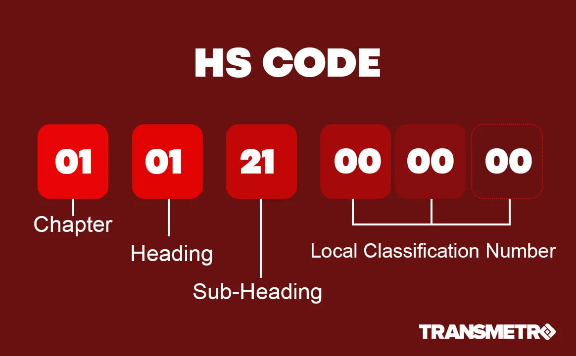 Hs Code Nedir, Hs Kodu Nereden Alınır? - Transmetro Gümrük Müşavirliği
