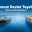 E-İhracat Devlet Teşvikleri